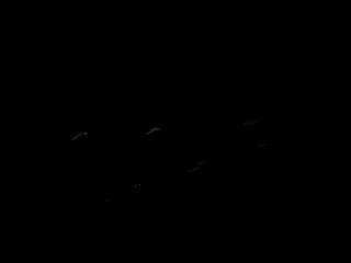 cum4jen manyvids curly harlot