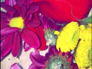 Ana Dhara manyvids golden rain