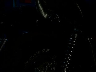 Sandy Style  manyvids impressive babe dancing striptease