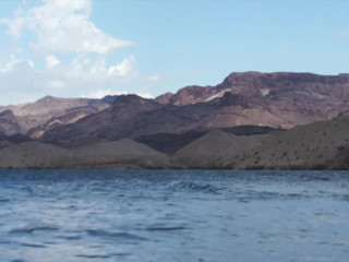 tegantrex  manyvids wonderful bitch and fucking both holes