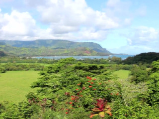 Pixiepixelized, Pixie Pixelized  manyvids manyvids