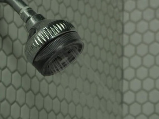 Brandi Love, Lexi Belle, Madison Ivy, Veronica Avluv manyvids busty pussy sucks dick