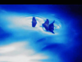 Korina Kova manyvids telecast 21.09.2019