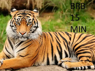 huntertiana naughty babe gets pussy fucked