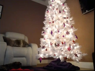 curvymodelmilf cute babe strips and jerks off shaved holes