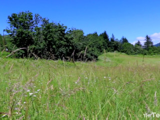 Tara Quartz ManyVids Strawberry Cream