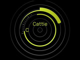 Cattie CatCandescent Kailey Ketchum ManyVids Obsessed With Boots Socks Soles N Toes