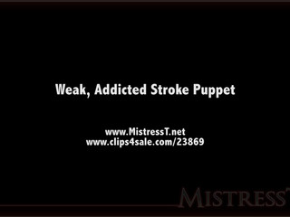 clips4sale Mistress T - weak addicted stroke puppet 720p