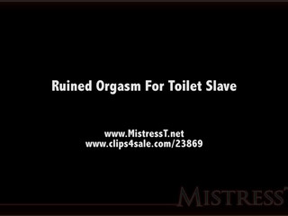 clips4sale Mistress T - ruined orgasm for toilet slave 720p