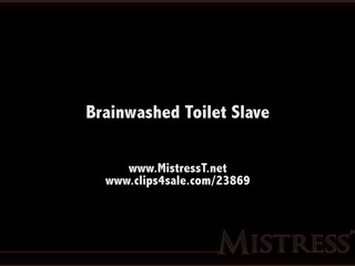 clips4sale Mistress T - brainwashed toilet slave 720p