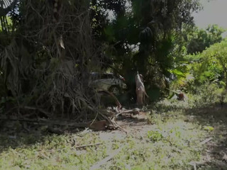 clips4sale Family Manipulation - Camping Creampie for Sis 480p