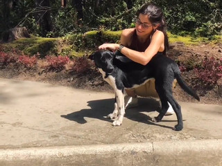 Cyncyncyn video output