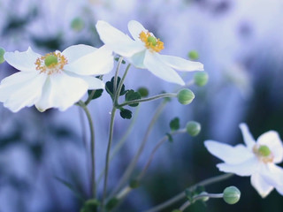 Cyncyncyn SpookyZone TRAVEL COLLECTION PROMO 2 1080p