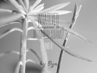 Cyncyncyn SpookyZone Wednesday Today Pt 2 BW 1080p