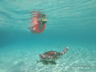 Angelsetfree the bitch paid the courier for the pizza