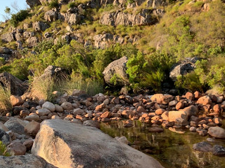 Angelsetfree gorgeous female licks dildo