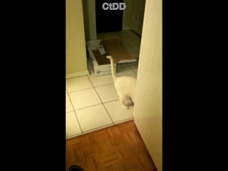 dirtykristy impressive passion passionately banged in the anus