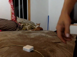 tropical_ass charming lady blissfully bares