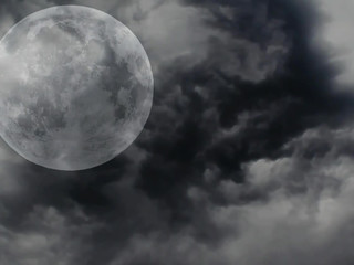 sashaswan  gorgeous young lady exposes intimate places