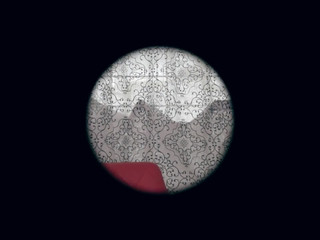 PussycatMoz  sexy babe