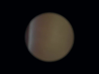 PussycatMoz  cute bitch in erotic outfit