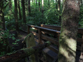 Emma Choice  crazy passions jerking sex toys