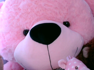 Bambie Doll  hot bitches jerking off cunt