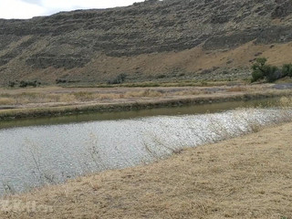 busterandkitten manyvids busty slut poses naked