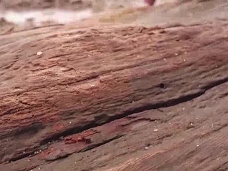 busterandkitten manyvids Young Kurva