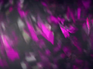 erica fontes beast exposed in  private e