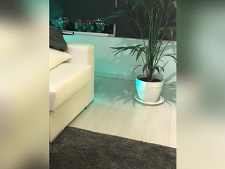 briana banderas Seductive hottie