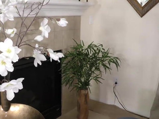 adriana maya busty mare is hammering her anus