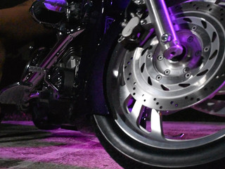 adriana maya sexy girls teasing pussies