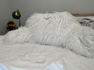 texasthicc myfreecams January 2020