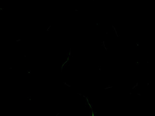 fiorafierce cute bitches and jerking pussy