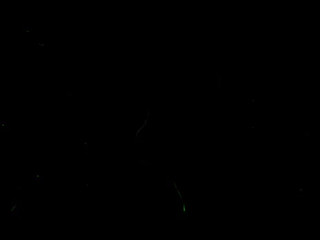 fiorafierce naughty bitches gently masturbate shaved pussies