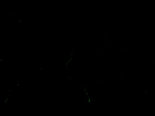 fiorafierce Tanned ladies