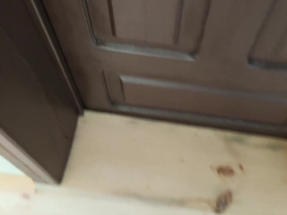 alice fairy lustful bitch demonstrates shaved holes