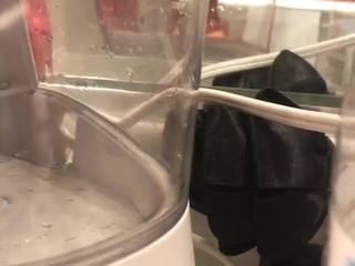 aidra fox onlyfans toy cleaning showing off new toys