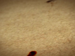 ariel x onlyfans as promised