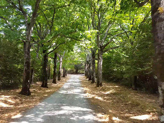 slinky-adv onlyfans_46