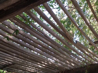 christie stevens onlyfans_11