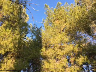 christie stevens onlyfans_10