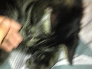 stormi maya onlyfans landed in cali . here???? my air b n b roomate lol