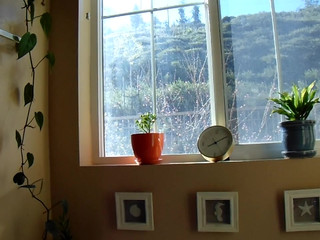 nicole aniston onlyfans_16