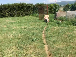 rossella visconti onlyfans the sun naked in my garden