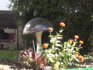 dorisdawn outdoor upskirt bending in my beige pel