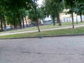 secretdream naughty flip flap no undies hd