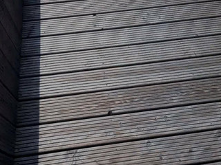 minademonic public fun in the spa