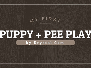 krystal gem my 1st puppy p-- play